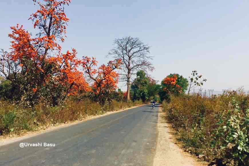 वसंत ऋतु (Spring season)